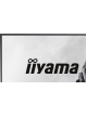 IIYAMA Monitor 27 cali GB2741QSU-B1 IPS,QHD,144Hz,1ms,2xUSB, Adaptive G-SYNC,HDMI,DP,350cd, HAS (150) PIVOT 