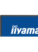 IIYAMA Monitor 27 cali X2792QSU-B1 IPS,QHD,120Hz,HDMI,DP, 350cd,1500:1, cienkie ramki, 2xUSB 3.2, ErP B 