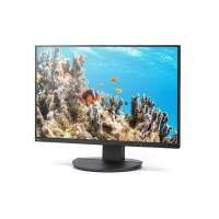 Monitor Sharp MultiSync DD-EA242W 24.1 cala czarny