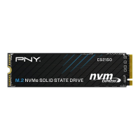 Dysk SSD PNY 1TB M.2 2280 CS2150 M280CS2150-1TB-TB