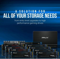 PNY Dysk SSD 2TB M.2 2280 CS2230