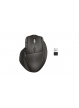 Mysz HP Ultra-Fast Scroll Wireless Mouse 785M