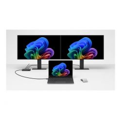 Microsoft Notebook LPT7/13,8/U7/32/256/W11P/5G/PLT