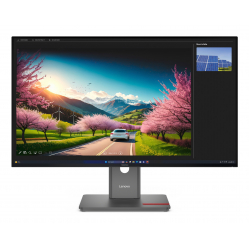 LENOVO ThinkVision P32UD-40 31.5 IPS 3840x2160 16:9 HDMI DP USB