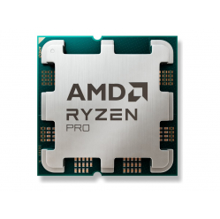 AMD Ryzen 3 PRO 8300G AM5 65W 4C/12T 4.9GHz TRAY