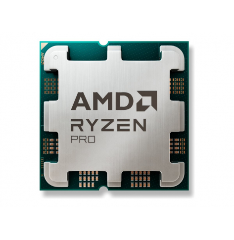 AMD Ryzen 3 PRO 8300G AM5 65W 4C/12T 4.9GHz TRAY