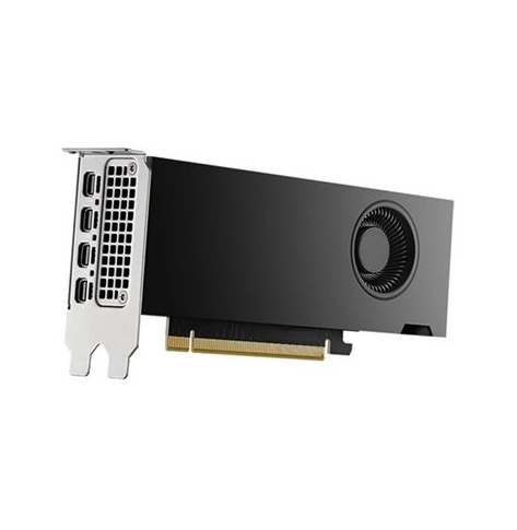 DELL NVIDIA RTX 2000 Ada Generation 16 GB GDDR6 half height PCIe 4.0 x 8 4 mDP