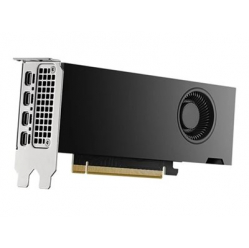 DELL NVIDIA RTX 2000 Ada Generation 16 GB GDDR6 half height PCIe 4.0 x 8 4 mDP