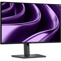 Monitor DELL Pro P2426HE 24