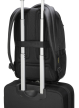 TARGUS CG3 15.6 Backpack with Raincover