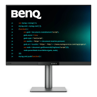 BENQ RD280UG 28.2 IPS 4K 120Hz HDMI DP USB-C KVM