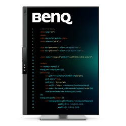 BENQ RD280UG 28.2 IPS 4K 120Hz HDMI DP USB-C KVM