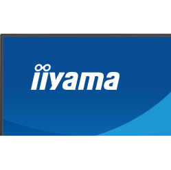 IIYAMA X2791QS-B1 27 IPS QHD HDMI DP glosniki