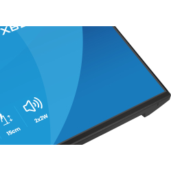 IIYAMA XB2491HS-B1 24 IPS FHD 120Hz HDMI DP glosniki Height Adj