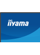 IIYAMA XB2497HSN-B1 24 IPS FHD HDMI DP USB-C Height Adj
