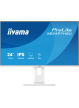 IIYAMA XB2497HSU-W1 24 IPS FHD 120Hz HDMI DP USB-C glosniki Height Adj