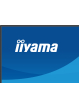 IIYAMA XB2793QSU-B1 27 IPS QHD HDMI DP Height Adj