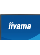 IIYAMA XB2797QSNP-B1 27 IPS QHD HDMI DP USB-C Height Adj