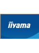 IIYAMA XB2797QSNP-W1 27 IPS QHD HDMI DP USB-C KVM glosniki Height Adj