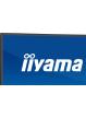 IIYAMA XCB4594DQSU-B1 44.5 VA DQHD HDMI DP USB glosniki Height Adj