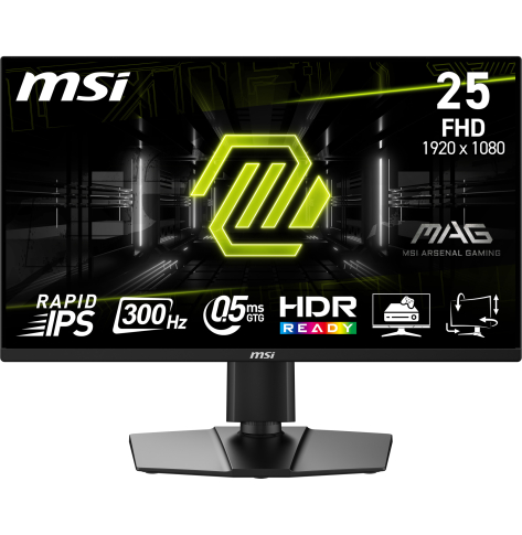 Monitor MSI MAG 255PXF 24.5 Rapid IPS FHD 300Hz HDMI DP Pivot