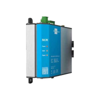 INSYS icom SCR-L200 1.2 LTE Mobile VPN-Option