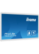 Monitor interaktywny IIYAMA 23.8 cala TW2424AS-W1 POJ.10PKT.24/7 ANDROID 12 z GMS 3H