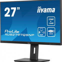 IIYAMA XUB2797QSNP-B1 + Norton Small Business card 250G PL