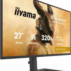 IIYAMA 25 cali GB2791QSU-B1 0.6ms DP 2xHDMI 2.1 320Hz Fast IPS WQHD 350 cd/m2 USB HUB x4 (2x Type-A 2x Type-C) G-SYNC compatible - HDMI: 2