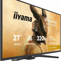 IIYAMA 25 cali GB2791QSU-B1 0.6ms DP 2xHDMI 2.1 320Hz Fast IPS WQHD 350 cd/m2 USB HUB x4 (2x Type-A 2x Type-C) G-SYNC compatible - HDMI: 2