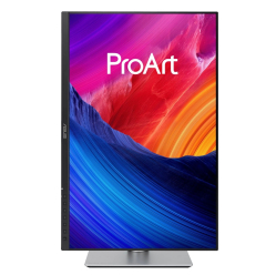 Monitor Asus PA248QFV PRO IPS WUXGA HDMI DP 100Hz