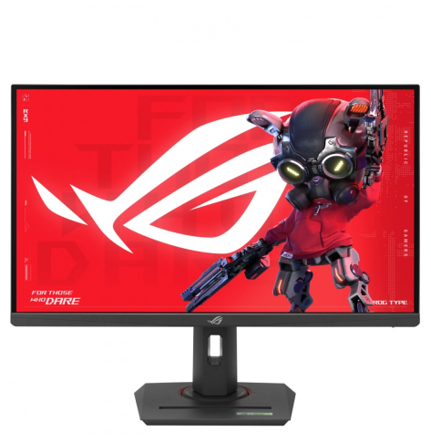 Asus XG27ACMEG ROG IPS QHD HDMI USB DP