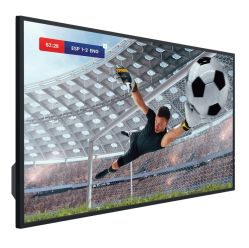 Hisense 65DM66D 65 cali 4K UHD IPS Digital Signage Display 24/7 