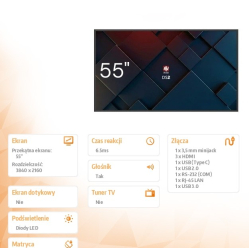 AVTek informacyjny DS2 55 cali