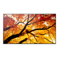 Monitor Sharp M652 65 cali 24/7 550cd/m2 