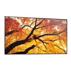 Monitor Sharp M652 65 cali 24/7 550cd/m2 