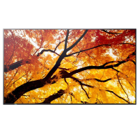 Monitor Sharp MultiSync M502 50 cali 550cd/m2 24/7