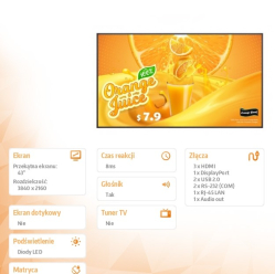 LG 43 cale 43UH5Q-E 500cd/m2 UHD 24/7 