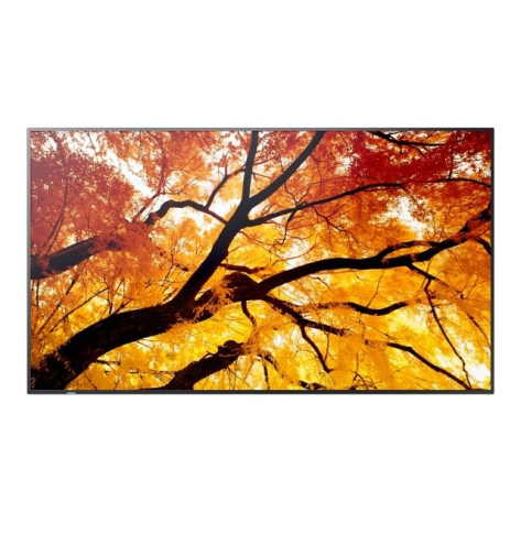 Monitor Sharp MultiSync M552 55 cali 550cd/m2 24/7