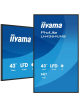 IIYAMA 43 cale LH4364UHS-B1AG 24/7 VA ANDROID14 4K 500cd 4000:1 2xHDMI USB-C RJ45 RS-232c IR 2x10W 2xUSB UCHWYT ŚCIENNY 