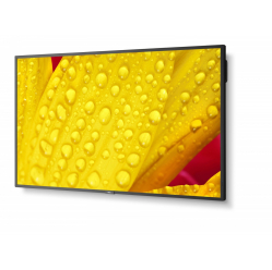 NEC MultiSync M651-2 65 cali UHD 500cd/m2 24/7 