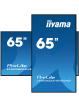 IIYAMA 65 cali LH6560UHS-B2A 24/7 500cd 4K VA Wifi 