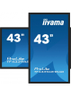 IIYAMA 43 cale TF4339AS-B1AG IPS 4K HDMIx2 DP RJ45 3xUSB 40pkt ANDROID 24/7 