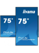 IIYAMA 75 cali LH7565UHSB-B1 24/7 IPS ANDROID 11 4K 800cd iiSignage2 SDM 2x HDMI DP 2x USB 2x 10W RJ45 WiFi 4/32GB PION/POZIOM 400x400(vesa)