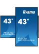 IIYAMA 43 cale LH4365UHSB-B1 24/7 IPS ANDROID 11 4K 800cd iiSignage2 SDM 2x HDMI DP 2x USB 2x 10W RJ45 WiFi 4/32GB PION/POZIOM 400x400(vesa)