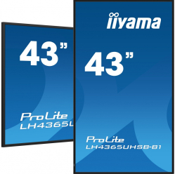 IIYAMA 43 cale LH4365UHSB-B1 24/7 IPS ANDROID 11 4K 800cd iiSignage2 SDM 2x HDMI DP 2x USB 2x 10W RJ45 WiFi 4/32GB PION/POZIOM 400x400(vesa)