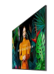 Samsung QB85C 85 cali Błyszczący 16h/7 350(cd/m2) UHD S10 Player (Tizen 7 VXT Ready) Wi-Fi/BT 3 lata On-Site (LH85QBCEBGCX