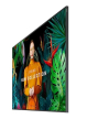 Samsung QB55C 55 cali Błyszczący 16h/7 350(cd/m2) UHD S10 Player (Tizen 7 VXT Ready) WiFi/BT 3 lata On-Site (LH55QBCEBGCXEN