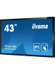 IIYAMA 43 cale T4362AS-B1 20pkt. 24/7 IPS 500cd ANDROID 8.0