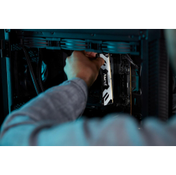 Pamięć KINGSTON 24GB 8000MHz DDR5 CL38 DIMM FURY Renegade Silver